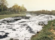 Pengertian dan Cara Pengolahan Grey Water yang Efektif